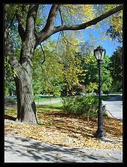 фото "Central Park"