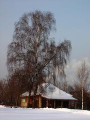 фото "Домик в деревне"