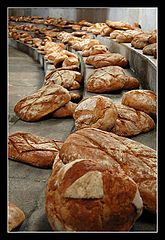 photo "bread..."