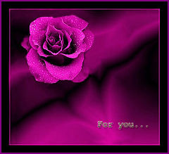 фото "Present Card"