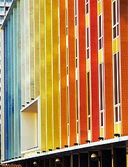 фото "rainbow"