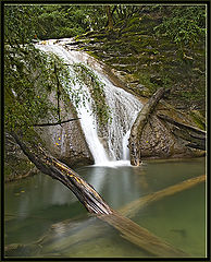 photo "***"