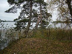 фото "Три сестры"