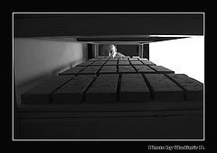 photo "***"