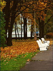 фото "Autumn"