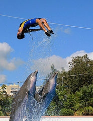 photo "Lisbon Zoo - 18/20"