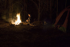photo "At night"