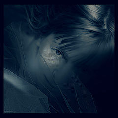 photo "guard of moonlight"