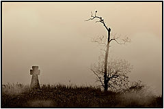 photo "***"