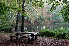 фото "Autumn"