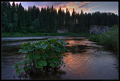 photo "Ural. Chusovaya river / 0160_0157"