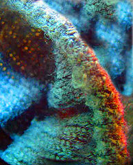 photo "Abstract forms"