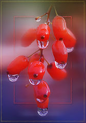 photo "***"
