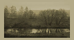 photo "***"