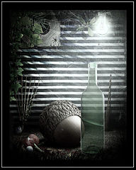 photo "***"