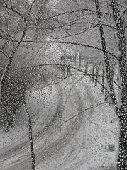 photo "***"