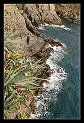 photo "view from "via dell'amore""