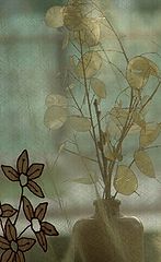 photo "flowers"