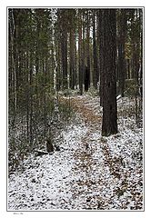 фото "Walk at autumn"