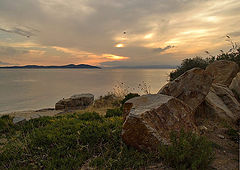 photo "***"