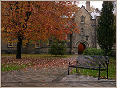 photo "The Park On A Rainy Day"
