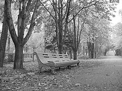 фото "Одиночество в парке"