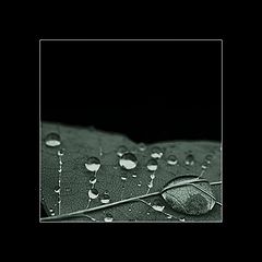 фото "drop"