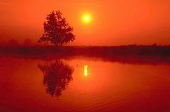 photo "Red sunset"
