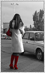 фото "...стою и жду..."