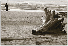 photo "Waiting"