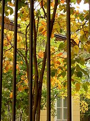 photo "Autumn in Moscow"