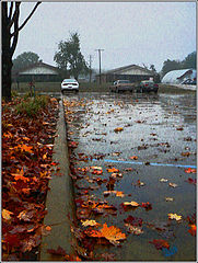 фото "Rainy evening"