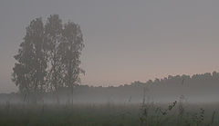 photo "***"