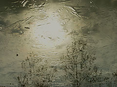 фото "Ice"