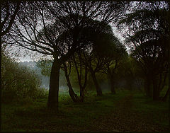 фото "Утро"