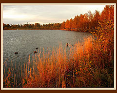 photo "October sunset by the sea"