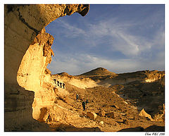 photo "The gold of the Negev"