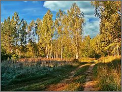 photo "Autumn way"
