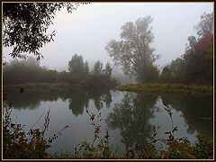 photo "***"