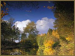 photo "***"