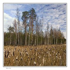 фото "Walk at autumn"