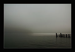 фото "From Nowhere"