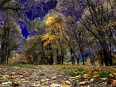 photo "Ещё одна осень"