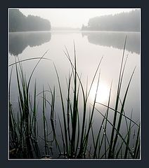 photo "***"