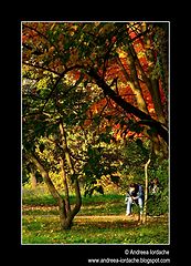 фото "thinking ..."