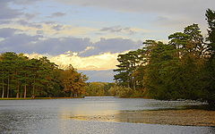 photo "***"