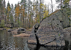 photo "It is made by the nature"