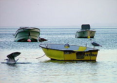 photo "A ride in the boat"