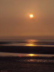 photo "Soon asleep."