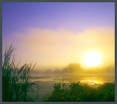 photo "***"